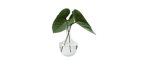 products-portfolio-04.png